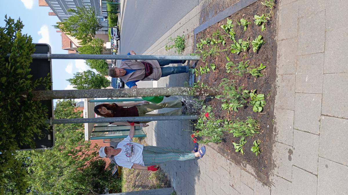 Im Westlichen Ringgebiet leuchten seit kurzer Zeit an einigen Stellen RINGel-Blumen. Das AWO-Projekt "Bunter Ring" hatte Nachbarinnen und Nachbarn eingeladen, um zusammen Ringelblumen zu pflanzen. Die Pflanzaktion startete am Garten ohne Grenzen, führte bis zur Hugo-Luther-Straße und endete dann wieder in der Blumenstraße. Hier zogen die Mitwirkenden bei Kaffee und Kuchen ein positives Fazit: "Es hat in der Gemeinschaft Spaß gemacht und die Blumen machen den Stadtteil noch bunter!"